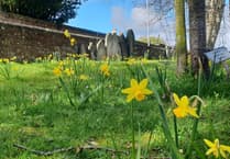 'Wilder Churches' giving online tips to boost nature in churchyards & burial grounds