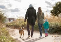 Wellington councillors reject dog access to children’s play areas