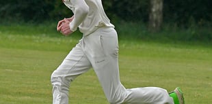 Classy Wellington gain fine victory over Yeovil 