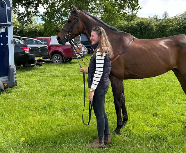 Time to relax at Higher Holworthy Farm 