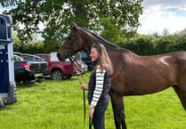 Time to relax at Higher Holworthy Farm
