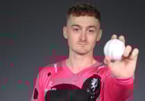 Smashing Somerset top Vitality Blast table