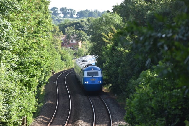 The Torbay Riviera railway excursion passing through Wellington on Friday (June 13) on its return journey to Hull after taking passengers on a day visit to Paignton, Devon. (Picture: Chris Perrin)