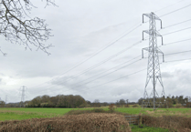 New electricity cut hits Wellington area after summer series of power outages