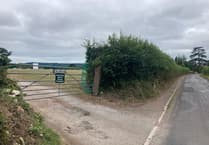 Cricket club could be surrounded by 130 new homes