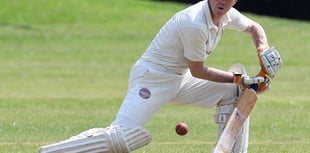 Moysey snaps up five wickets for Wellington 2nd XI 