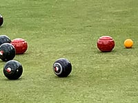 Wellington Bowling Club teams come away with mixed fortunes
