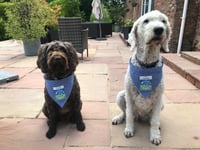 More than £10,000 raised for Wiveliscombe charity