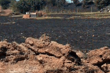 The Ling Shooting estate in Nynehead