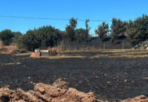 Nynehead shooting range destroyed in wildfire