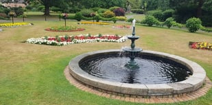 Your community news from across Wellington and beyond