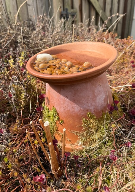 Insect pools to keep bugs and bees hyrdated