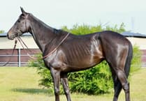 A new face joins Dave Pipe Racing Club