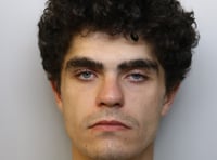 Burglar jailed for more than eight months