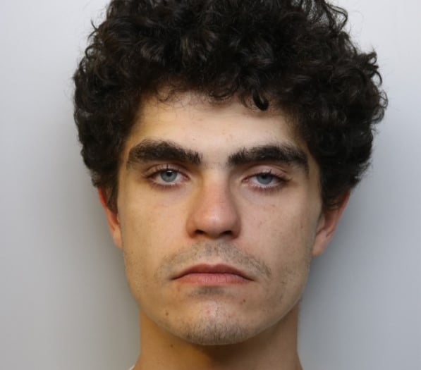 Burglar jailed for more than eight months