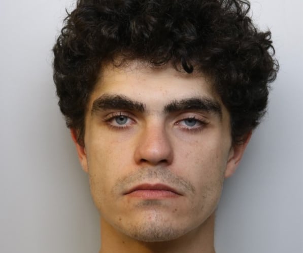 Adam Parsons, 21, has been sentenced to over eight months in prison 