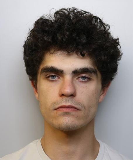 Adam Parsons, 21, has been sentenced to over eight months in prison