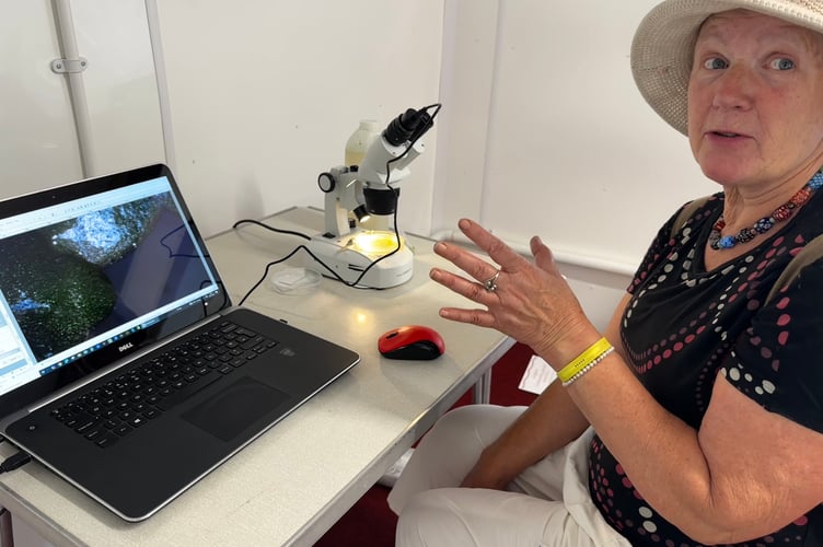 Lizzie Aveline uses the electronic microscope