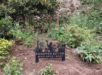 Memorial erected for “much-loved” town cat
