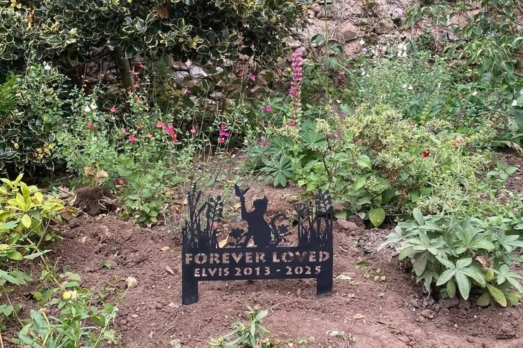 A memorial for "much-loved" town cat Elvis has been erected in Monmouth Gardens