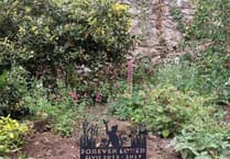 Memorial erected for “much-loved” town cat