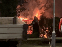 Police investigate alleged arson in Tonedale