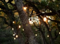 Green light for town Garden of Light event despite cost concerns