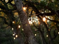Green light for town Garden of Light event despite cost concerns