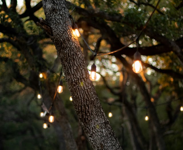 Green light for town Garden of Light event despite cost concerns