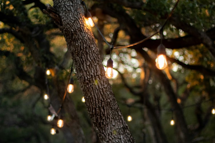 Green light for town Garden of Light event despite cost concerns