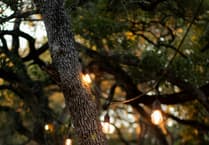 Cost concerns town light display event as plans get go ahead