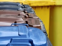 Somerset Council to spend around £700,000 on new bins