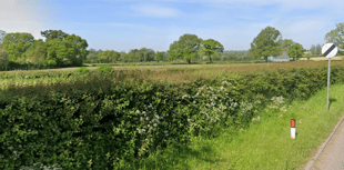 Plans for six new Culmstock homes receive backlash