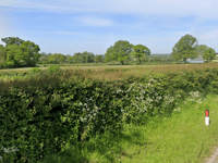 Plans for six new Culmstock homes receive backlash