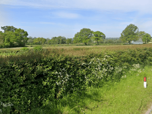 Plans for six new Culmstock homes receive backlash