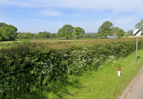 Plans for six new Culmstock homes receive backlash