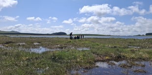 Water firm's biodiversity project up for award