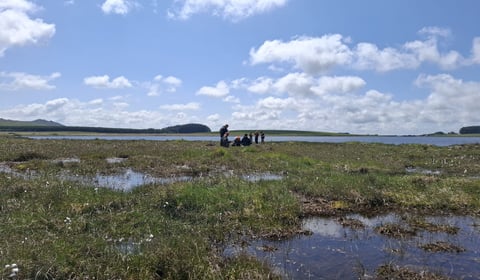 Water firm's biodiversity project up for award