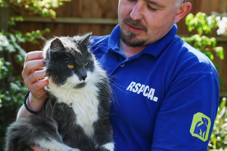 Animal beatings are on the rise with one report of animal abuse made every 15 minutes the call line is open according to new figures released by the RSPCA.