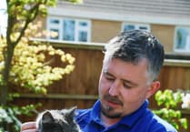 Figures reveal 263 reports of animal beatings during summer