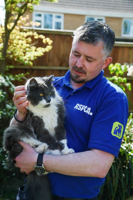 Animal beatings are on the rise with one report of animal abuse made every 15 minutes the call line is open according to new figures released by the RSPCA.