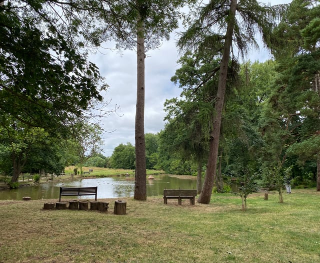 Letters to the Editor: Politics, parking, and pharmacies