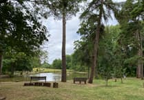 Letters to the Editor: Politics, parking, and pharmacies