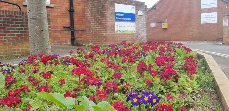 Wellington Community Hospital beds are 'indefinitely' but not 'permanently' closed, an NHS trust says.