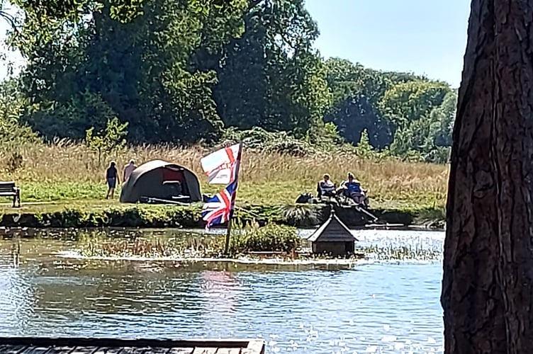 Flags in the Basins' pond