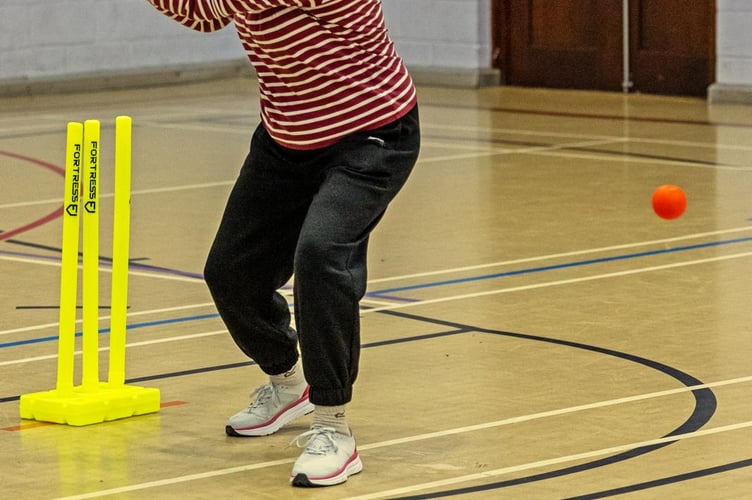 Enjoy the thrill of walking cricket