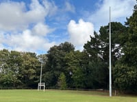 Home, sweet home for Wellington after six away games