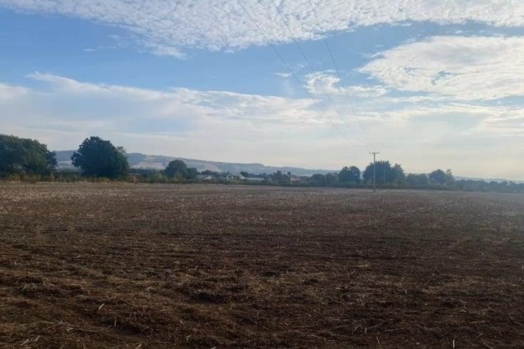 The planned site of 80 more homes in Cotford St Luke.