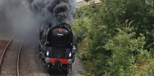 Letters to the Editor