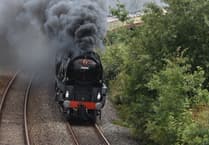 Letters to the Editor